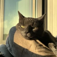 marti