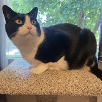 mollywiggin11