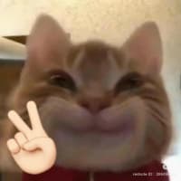 chunlin