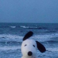 luckychlover