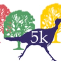 Franklin Park Turkey Trot thumbnail