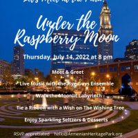 Under the Raspberry Moon thumbnail
