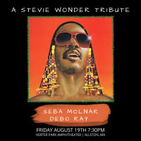 Stevie Wonder Tribute  thumbnail