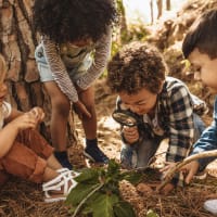 Family Nature Walk & Craft thumbnail