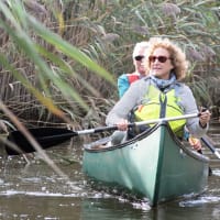 Neponset Estuary Morning Paddle thumbnail