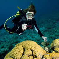 Why We Should All Care About the Weird, Wild, and Wonderful Depths of the Sea with Dr. Sylvia Earle  thumbnail