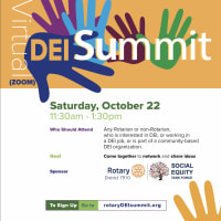 2nd DEI Summit by Rotary District 7910 thumbnail