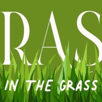 Brass in the Grass thumbnail