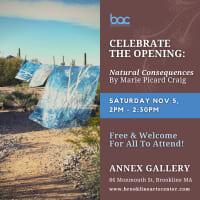 Opening Reception: Natural Consequences by Marie Picard Craig thumbnail