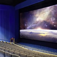 New England Aquarium to host 2022 Scout Film Festival thumbnail