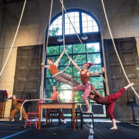 Circus 617: Gathering the Threads thumbnail