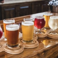 CiderFeast Boston  thumbnail