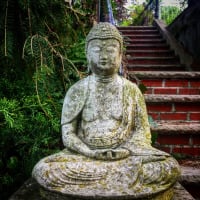 Learn to Meditate  thumbnail