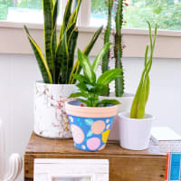 Galentine's Paint Your Own Planter Workshop thumbnail