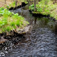 Annual Neponset River Water Quality Presentation thumbnail