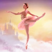 Sleeping Beauty Awakened  thumbnail