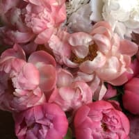 Posh Peony Flower Arranging Class thumbnail