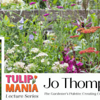 Jo Thompson: Tulip Mania Lecture & Book Signing thumbnail