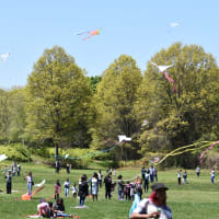 CANCELED: Franklin Park Kite & Bike Festival thumbnail