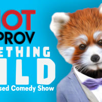 Riot Improv Mainstage: Something Wild thumbnail