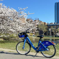 Free Bluebikes Adventure Passes Every Sunday in May for “Miles for Mental Health” Initiative thumbnail