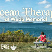 Half-day Ocean Therapy Retreat at Webb Memorial State Park thumbnail
