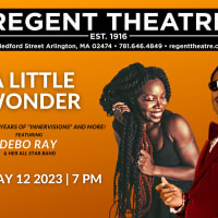 A Little Wonder - The Music of Stevie Wonder featuring Grammy Nominated artist Debo Ray and her All Star Band thumbnail