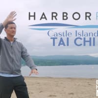 Tai Chi at Castle Island thumbnail