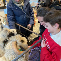 New England Farm & Fiber Festival thumbnail