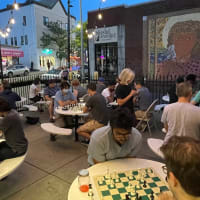 Chess Workshop:  The Opening Phase thumbnail