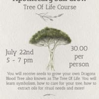 Tree Of Life Course thumbnail