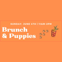 Brunch & Puppies at the Boston Public Market! thumbnail