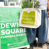 Opening Day: Boston Public Market at Dewey Square on the Greenway! thumbnail