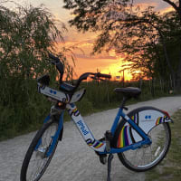 Blue Cross Blue Shield of Massachusetts Rolls Out 100 Proud Bluebikes in Celebration of Pride Month  thumbnail
