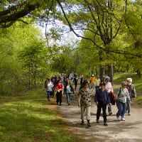 President’s Walking Tour of the Emerald Necklace thumbnail