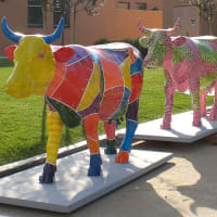 CowParade New England presented by Herb Chambers returns to Greater Boston to recognize the Jimmy Fund 75th anniversary  thumbnail