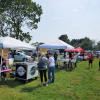 Vegan Food Court at Pet Rock Festival thumbnail