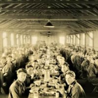The 90th Anniversary of the Civilian Conservation Corps: Its History & Legacy in Massachusetts  thumbnail