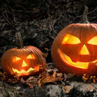 Jack-o’-lantern Carving Event thumbnail