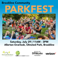 Brookline Community Parkfest thumbnail