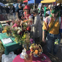 Harvest Fair thumbnail