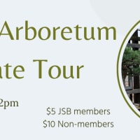 Arnold Arboretum Private Tour thumbnail