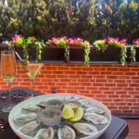 National Oyster Day at Beacon Hill Hotel thumbnail