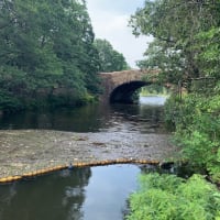 Muddy River Cleanup: Get Your Feet Wet and Hands Dirty! thumbnail