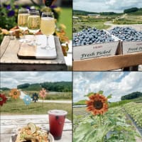 Outdoor Hard Cider Bar & Free! Live Music Series at Cider Hill Farm thumbnail