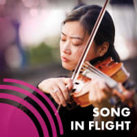 Song in Flight thumbnail