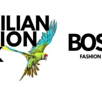 BRAZILIAN FASHION WEEK USA / Boston runway show! thumbnail