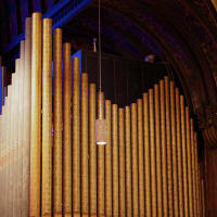 Free Fridays at Trinity Organ Concerts thumbnail