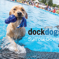 Dock Dogs thumbnail