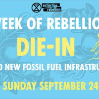 Die-In for No New Fossil Fuel Infrastructure - NEW DATE thumbnail